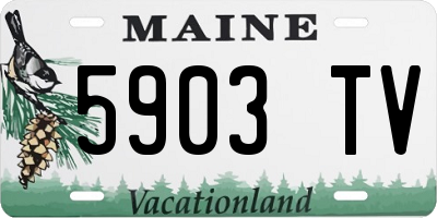 ME license plate 5903TV
