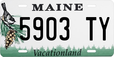 ME license plate 5903TY