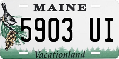 ME license plate 5903UI