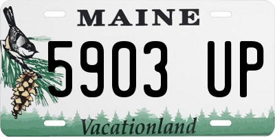ME license plate 5903UP