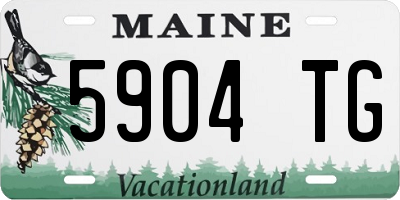 ME license plate 5904TG