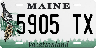 ME license plate 5905TX