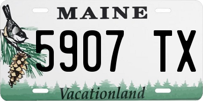 ME license plate 5907TX