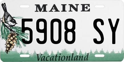 ME license plate 5908SY