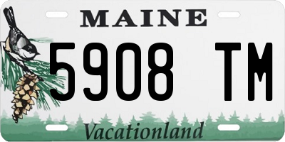 ME license plate 5908TM