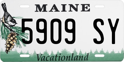 ME license plate 5909SY