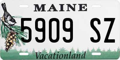 ME license plate 5909SZ
