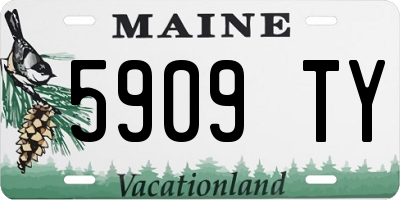 ME license plate 5909TY