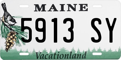 ME license plate 5913SY