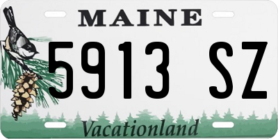 ME license plate 5913SZ