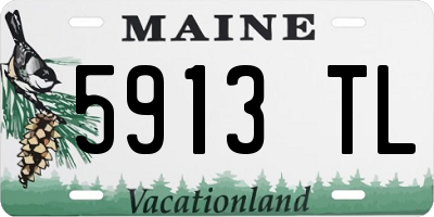 ME license plate 5913TL