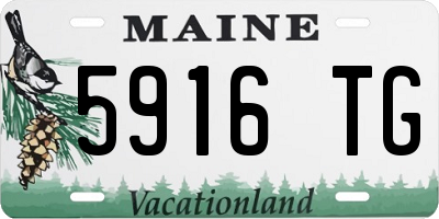 ME license plate 5916TG