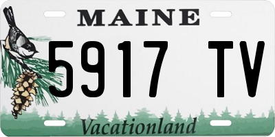 ME license plate 5917TV