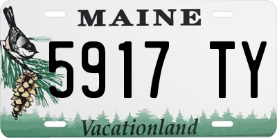 ME license plate 5917TY