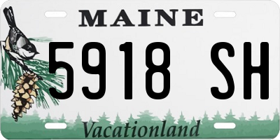 ME license plate 5918SH