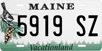ME license plate 5919SZ
