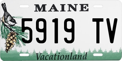 ME license plate 5919TV