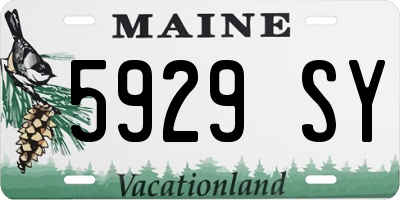 ME license plate 5929SY