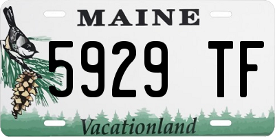 ME license plate 5929TF