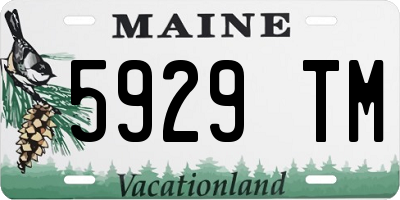 ME license plate 5929TM