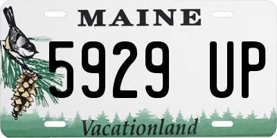 ME license plate 5929UP