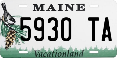 ME license plate 5930TA