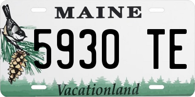 ME license plate 5930TE