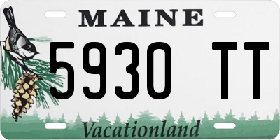 ME license plate 5930TT