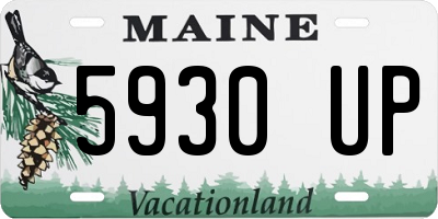 ME license plate 5930UP