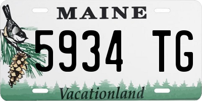 ME license plate 5934TG