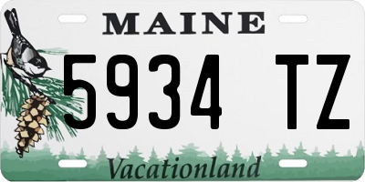 ME license plate 5934TZ