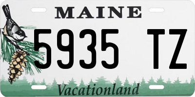 ME license plate 5935TZ