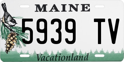 ME license plate 5939TV