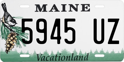 ME license plate 5945UZ