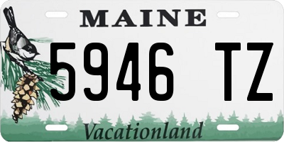 ME license plate 5946TZ