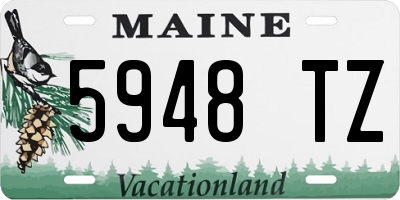ME license plate 5948TZ