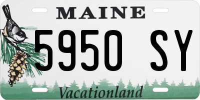ME license plate 5950SY