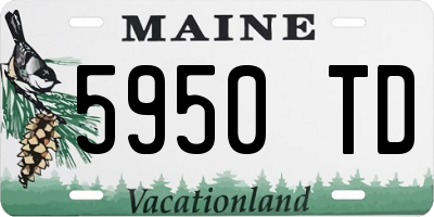 ME license plate 5950TD