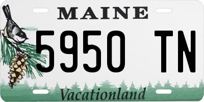 ME license plate 5950TN
