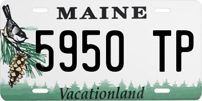 ME license plate 5950TP