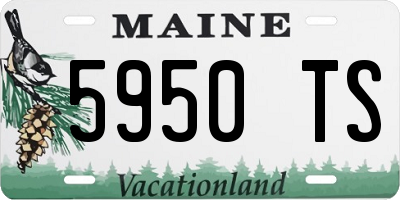 ME license plate 5950TS
