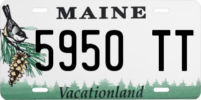 ME license plate 5950TT