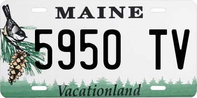ME license plate 5950TV