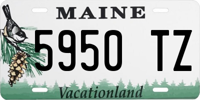 ME license plate 5950TZ