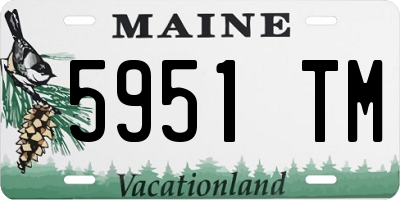 ME license plate 5951TM