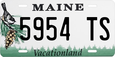 ME license plate 5954TS