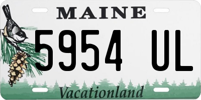ME license plate 5954UL