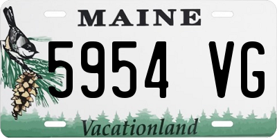 ME license plate 5954VG