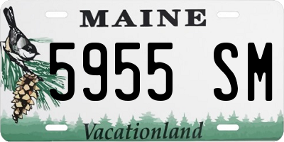 ME license plate 5955SM