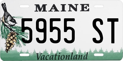 ME license plate 5955ST